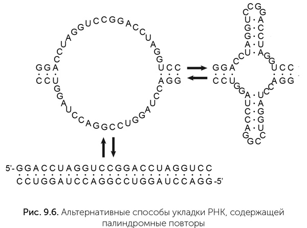 Иллюстрация к книге — Происхождение жизни. От туманности до клетки [i_070.jpg]