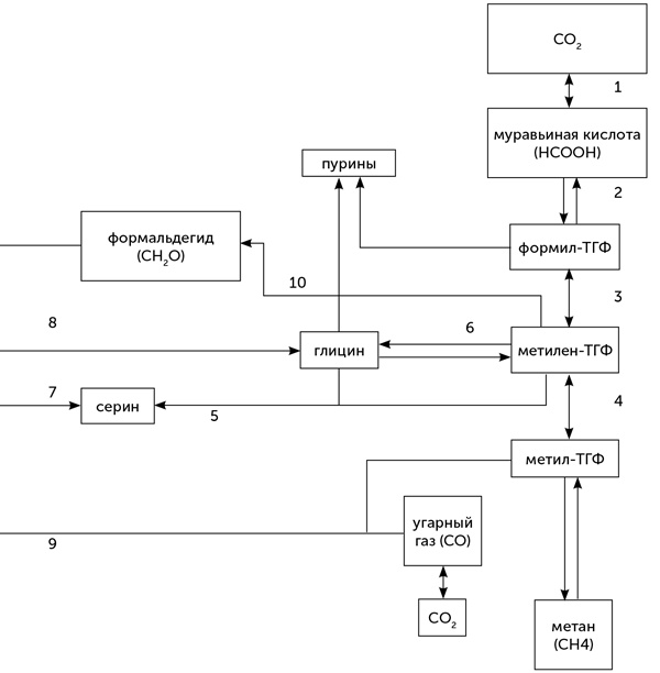 Иллюстрация к книге — Происхождение жизни. От туманности до клетки [i_086.jpg]