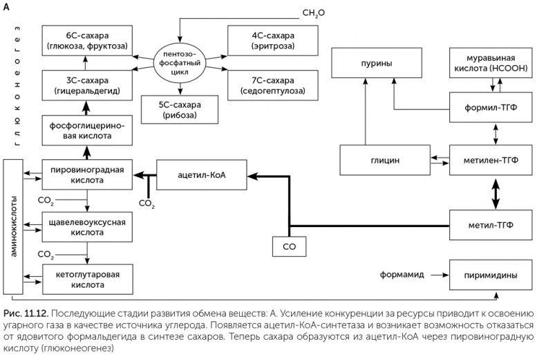 Иллюстрация к книге — Происхождение жизни. От туманности до клетки [i_090.jpg]
