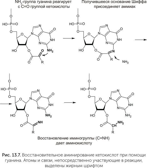 Иллюстрация к книге — Происхождение жизни. От туманности до клетки [i_109.jpg]