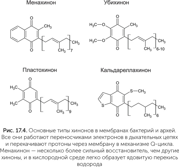 Иллюстрация к книге — Происхождение жизни. От туманности до клетки [i_146.jpg]