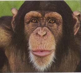 Иллюстрация к книге — Голый мужчина [doc2fb_image_0200001f.jpg]