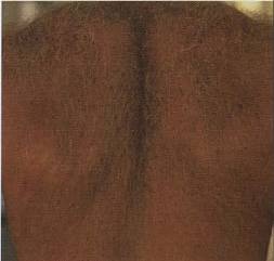 Иллюстрация к книге — Голый мужчина [doc2fb_image_02000032.jpg]