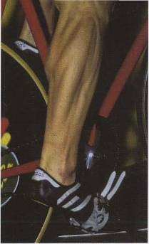 Иллюстрация к книге — Голый мужчина [doc2fb_image_0200003b.jpg]