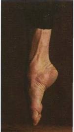 Иллюстрация к книге — Голый мужчина [doc2fb_image_0200003f.jpg]