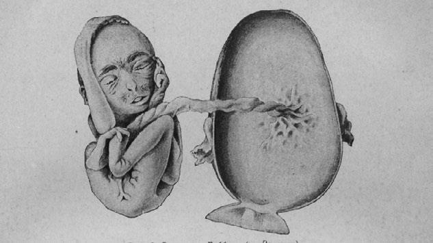 Иллюстрация к книге — Этюды о природе человека [i_010.jpg]