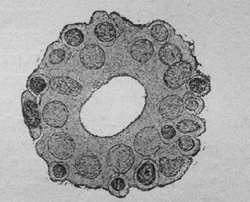 Иллюстрация к книге — Этюды о природе человека [i_017.jpg]