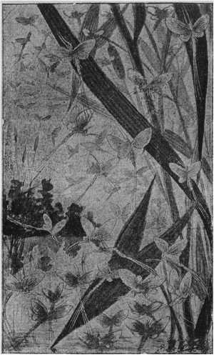 Иллюстрация к книге — Этюды о природе человека [i_022.jpg]