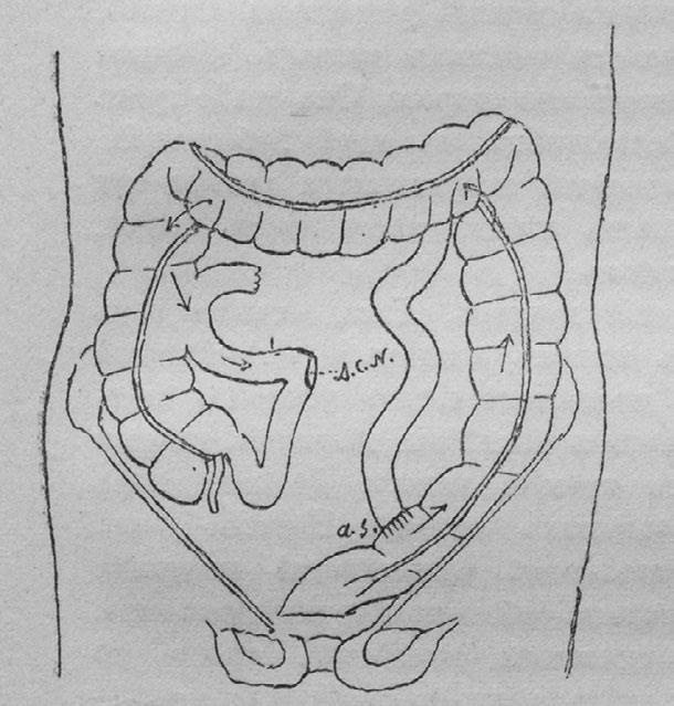 Иллюстрация к книге — Этюды о природе человека [i_040.jpg]