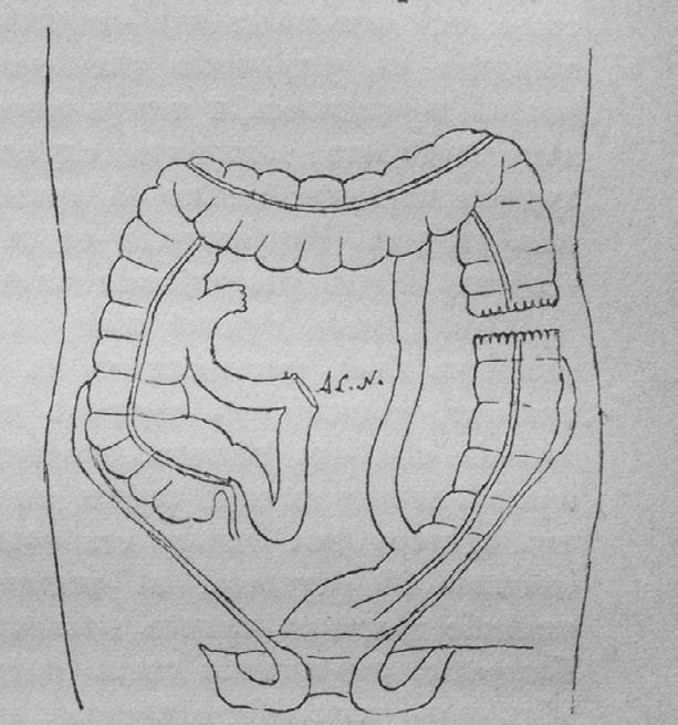 Иллюстрация к книге — Этюды о природе человека [i_041.jpg]