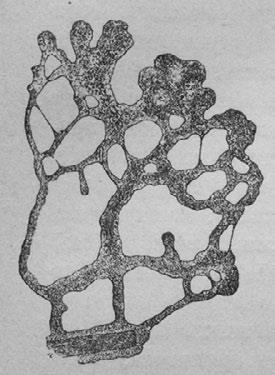 Иллюстрация к книге — Этюды о природе человека [i_043.jpg]