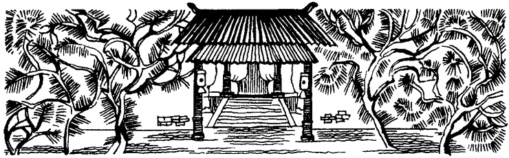 Иллюстрация к книге — Придуманные люди с острова Минданао [i_018.jpg]