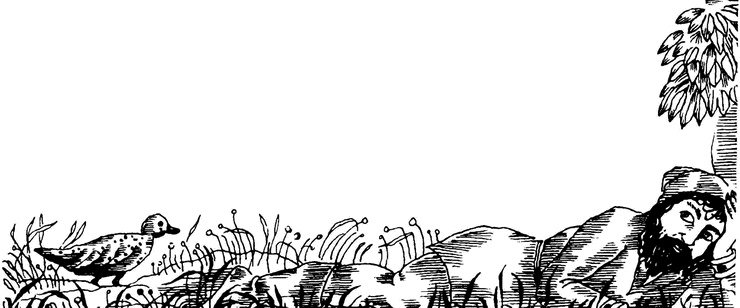 Иллюстрация к книге — Придуманные люди с острова Минданао [i_028.jpg]