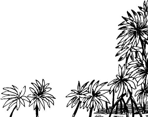 Иллюстрация к книге — Придуманные люди с острова Минданао [i_031.jpg]