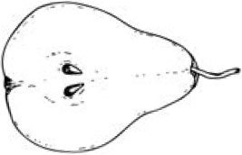 Иллюстрация к книге — Аллергошкола для мам [doc2fb_image_0200001c.jpg]