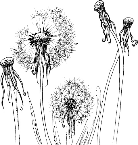 Иллюстрация к книге — Аллергошкола для мам [doc2fb_image_03000014.jpg]