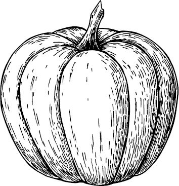 Иллюстрация к книге — Аллергошкола для мам [doc2fb_image_0300001a.jpg]