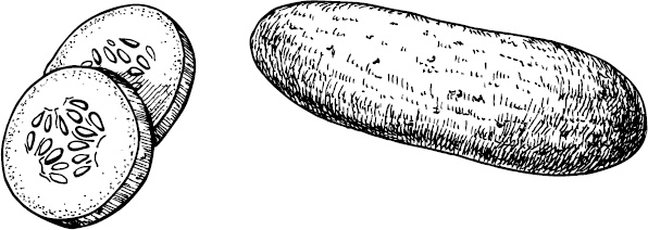 Иллюстрация к книге — Аллергошкола для мам [doc2fb_image_03000021.jpg]