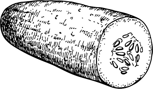 Иллюстрация к книге — Аллергошкола для мам [doc2fb_image_03000025.jpg]