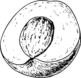 Иллюстрация к книге — Аллергошкола для мам [doc2fb_image_03000035.jpg]