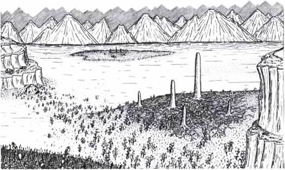 Иллюстрация к книге — Растения. Параллельный мир [i_025.jpg]