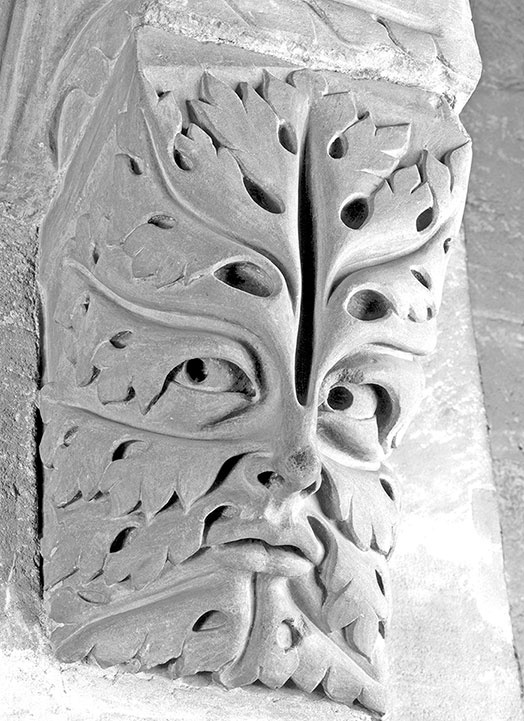 Иллюстрация к книге — Какое дерево росло в райском саду? [i_003.jpg]