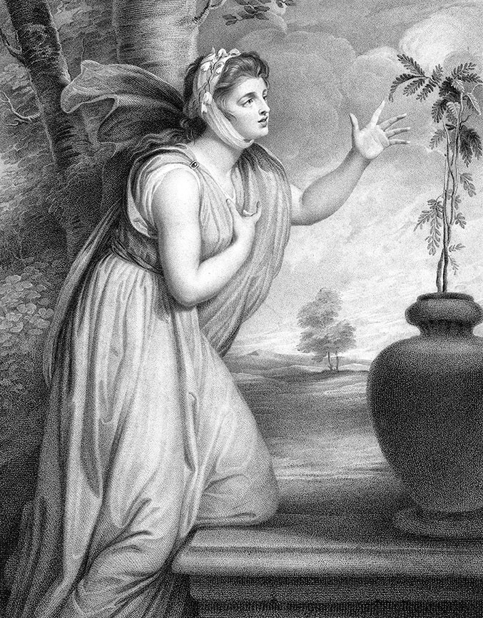 Иллюстрация к книге — Какое дерево росло в райском саду? [i_007.jpg]