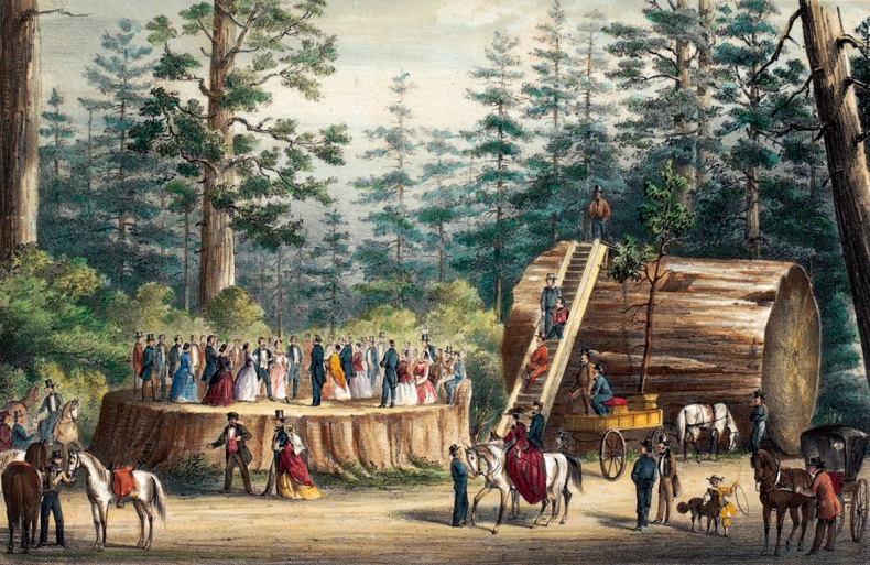 Иллюстрация к книге — Какое дерево росло в райском саду? [i_017.jpg]