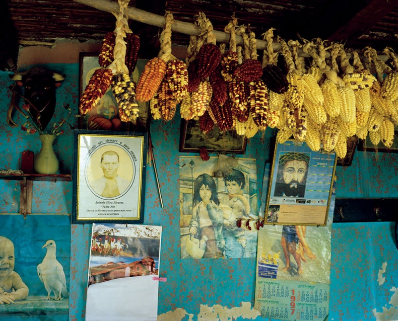 Иллюстрация к книге — Какое дерево росло в райском саду? [i_024.jpg]