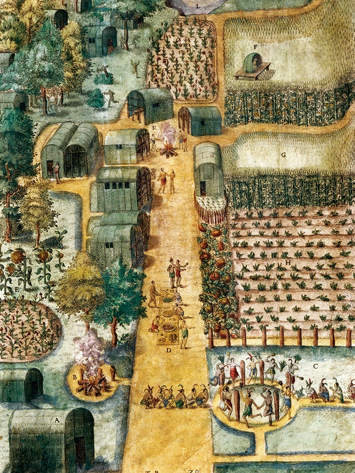 Иллюстрация к книге — Какое дерево росло в райском саду? [i_025.jpg]