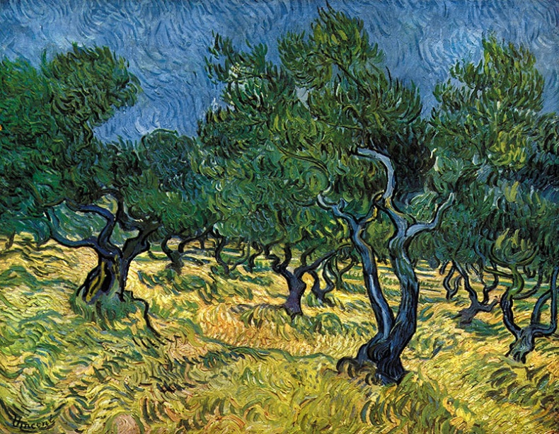 Иллюстрация к книге — Какое дерево росло в райском саду? [i_039.jpg]