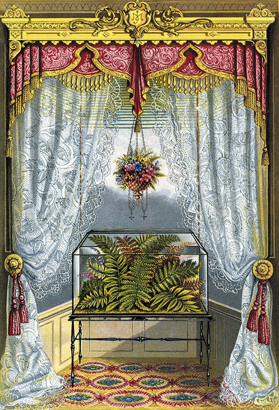 Иллюстрация к книге — Какое дерево росло в райском саду? [i_041.jpg]