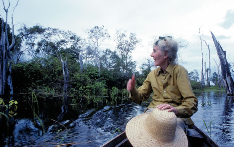 Иллюстрация к книге — Какое дерево росло в райском саду? [i_046.jpg]