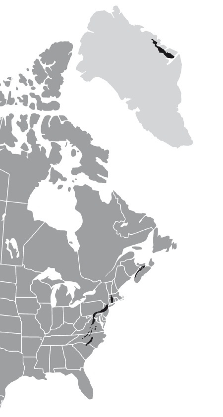 Иллюстрация к книге — Вселенная внутри нас. Что общего у камней, планет и людей [i_005.jpg]