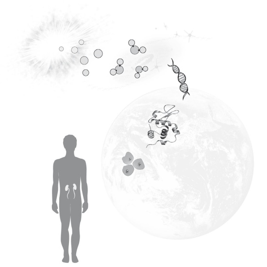 Иллюстрация к книге — Вселенная внутри нас. Что общего у камней, планет и людей [i_006.jpg]