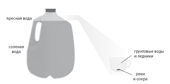 Иллюстрация к книге — Вселенная внутри нас. Что общего у камней, планет и людей [i_011.jpg]