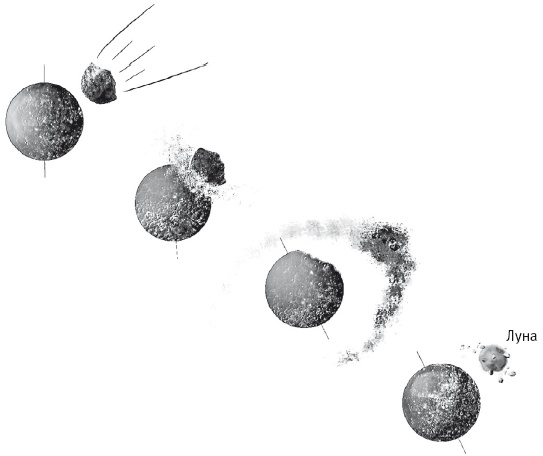 Иллюстрация к книге — Вселенная внутри нас. Что общего у камней, планет и людей [i_015.jpg]