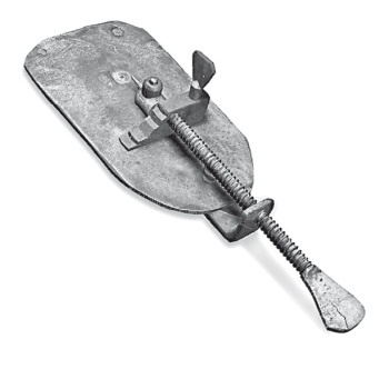 Иллюстрация к книге — Вселенная внутри нас. Что общего у камней, планет и людей [i_022.jpg]