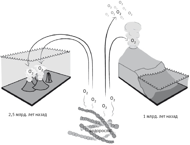 Иллюстрация к книге — Вселенная внутри нас. Что общего у камней, планет и людей [i_026.jpg]