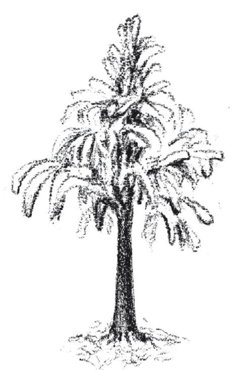 Иллюстрация к книге — Вселенная внутри нас. Что общего у камней, планет и людей [i_027.jpg]