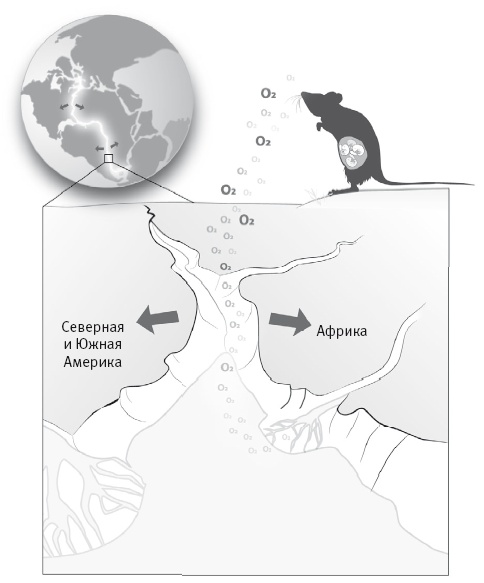 Иллюстрация к книге — Вселенная внутри нас. Что общего у камней, планет и людей [i_036.jpg]