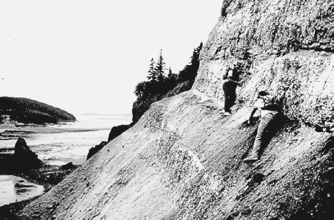 Иллюстрация к книге — Вселенная внутри нас. Что общего у камней, планет и людей [i_038.jpg]