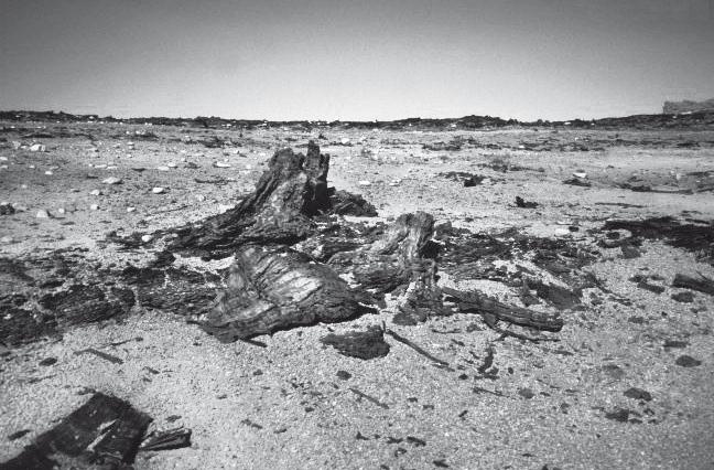 Иллюстрация к книге — Вселенная внутри нас. Что общего у камней, планет и людей [i_043.jpg]