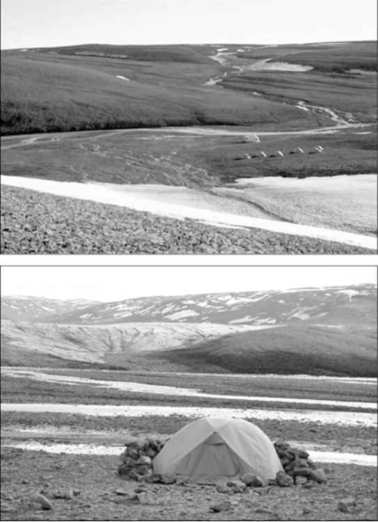 Иллюстрация к книге — Внутренняя рыба. История человеческого тела с древнейших времен до наших дней [i_004.jpg]