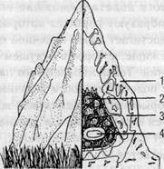 Иллюстрация к книге — Семь экспериментов, которые изменят мир [i_005.jpg]