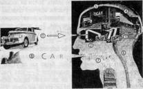 Иллюстрация к книге — Семь экспериментов, которые изменят мир [i_010.jpg]
