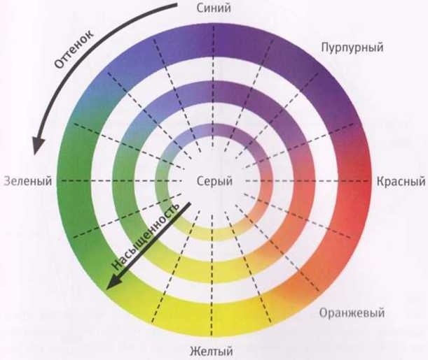 Иллюстрация к книге — Революция в зрении. Что, как и почему мы видим на самом деле [img_11.jpg]