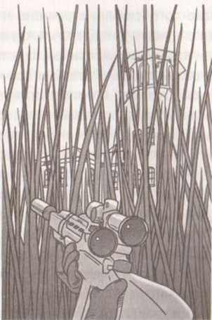 Иллюстрация к книге — Революция в зрении. Что, как и почему мы видим на самом деле [img_30.jpg]