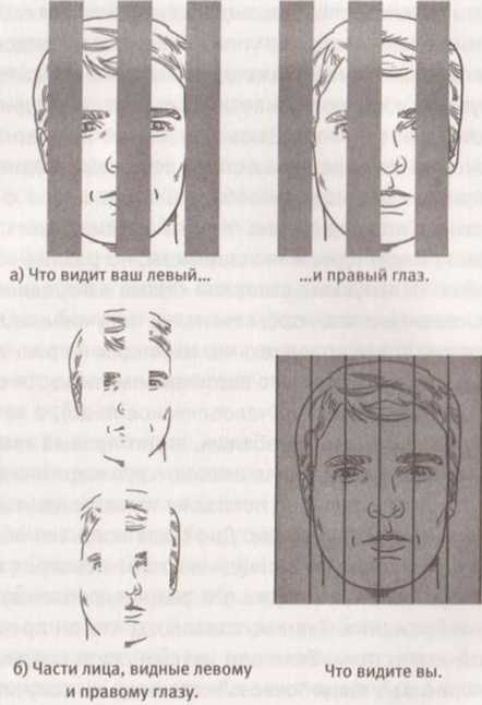 Иллюстрация к книге — Революция в зрении. Что, как и почему мы видим на самом деле [img_33.jpg]