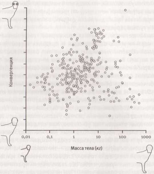 Иллюстрация к книге — Революция в зрении. Что, как и почему мы видим на самом деле [img_37.jpg]